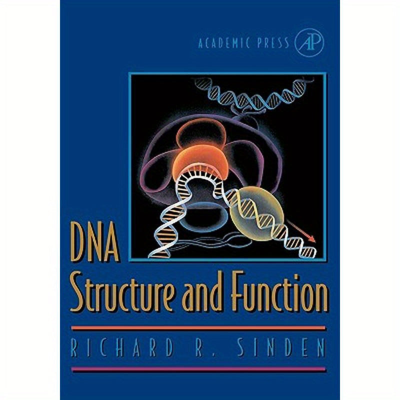 DNA Structure and Function