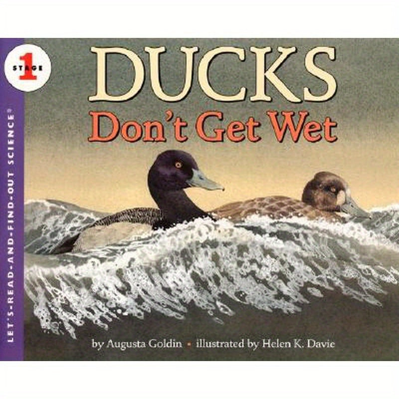Ducks Don't Get Wet