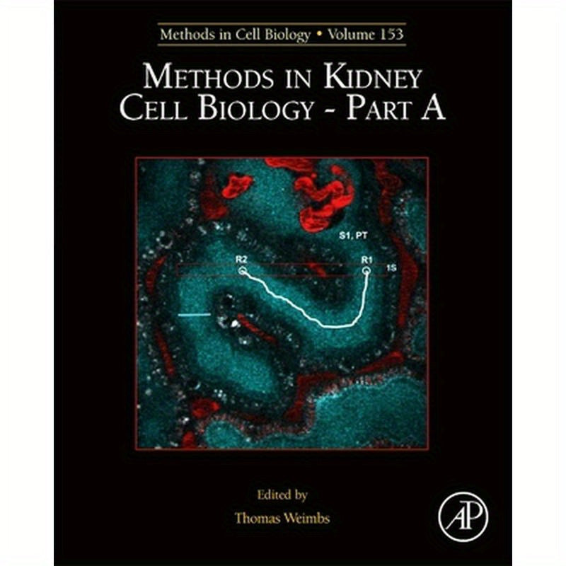 Methods in Kidney Cell Biology Part a: Volume 153