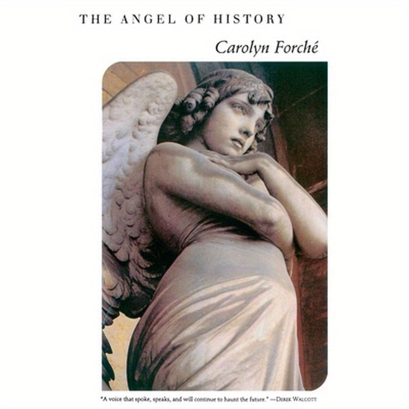 The Angel of History