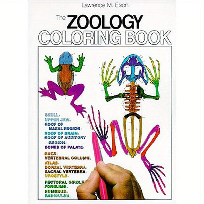 Zoology Coloring Book: A Coloring Book