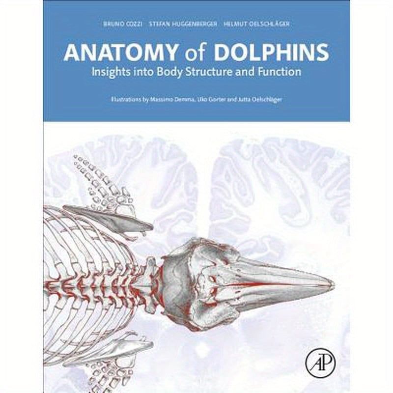 Anatomy of Dolphins: Insights Into Body Structure and Function