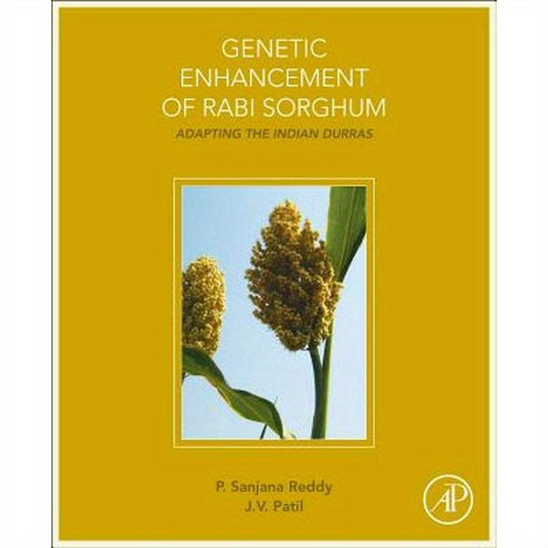 Genetic Enhancement of Rabi Sorghum: Adapting the Indian Durras