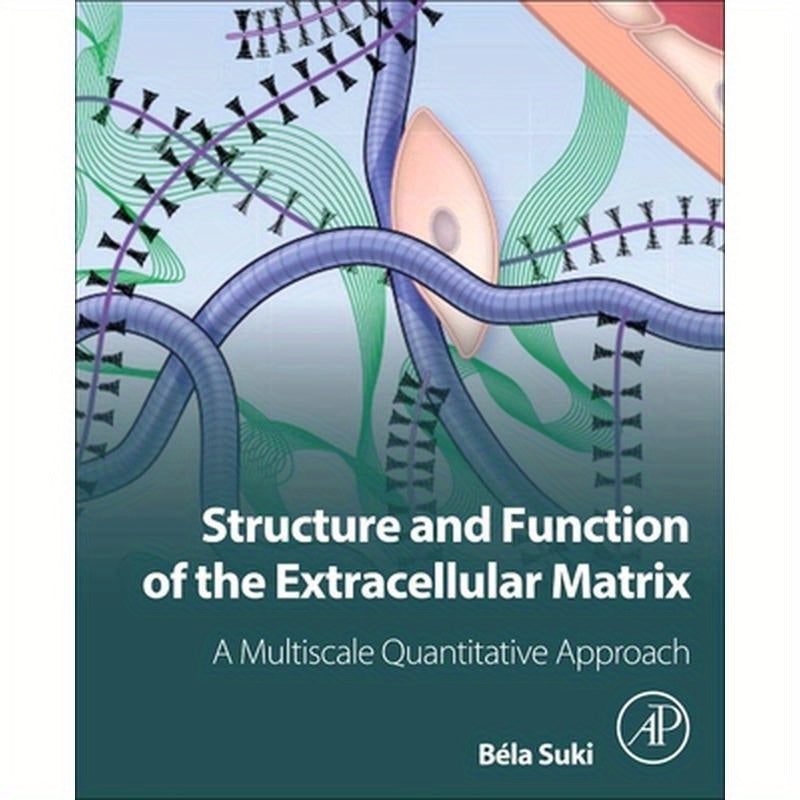 Structure and Function of the Extracellular Matrix: A Multiscale Quantitative Approach