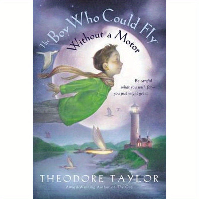 The Boy Who Could Fly Without a Motor