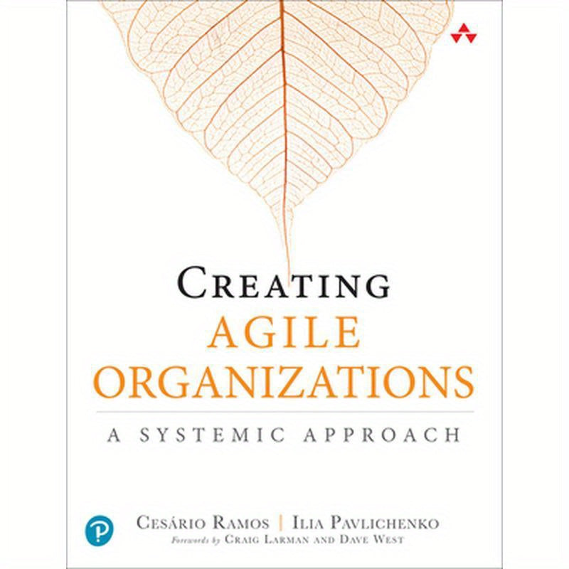 Creating Agile Organizations: A Systemic Approach