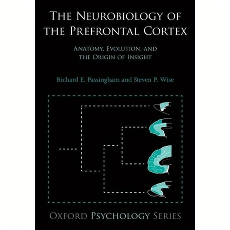 The Neurobiology of the Prefrontal Cortex: Anatomy, Evolution, and the Origin of Insight