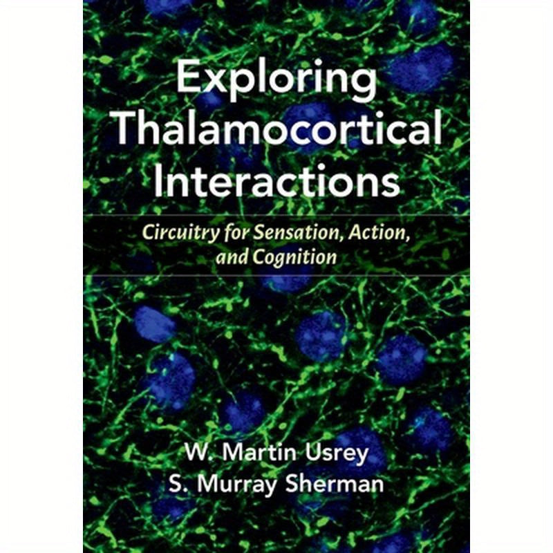 Exploring Thalamocortical Interactions: Circuitry for Sensation, Action, and Cognition