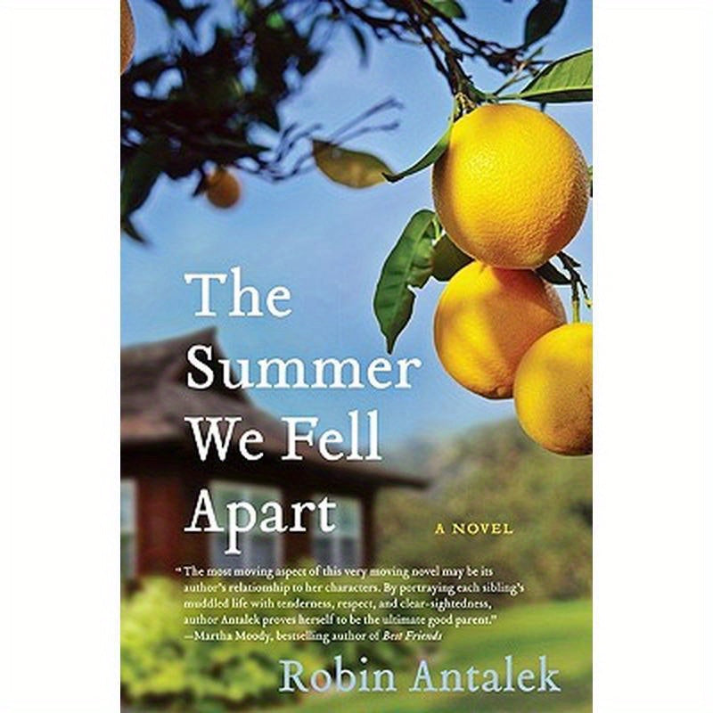 The Summer We Fell Apart