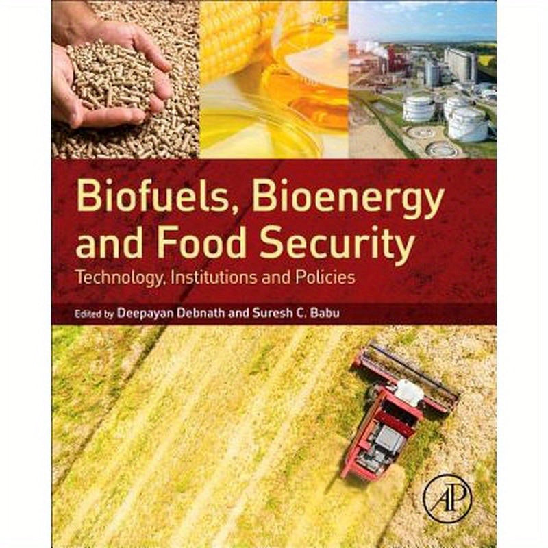 Biofuels, Bioenergy and Food Security: Technology, Institutions and Policies