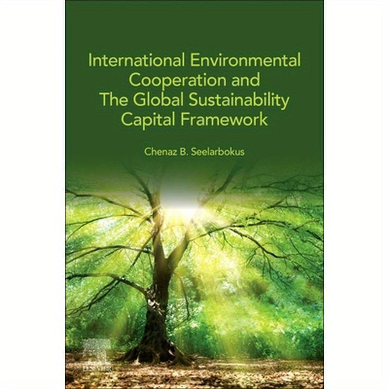 International Environmental Cooperation and the Global Sustainability Capital Framework