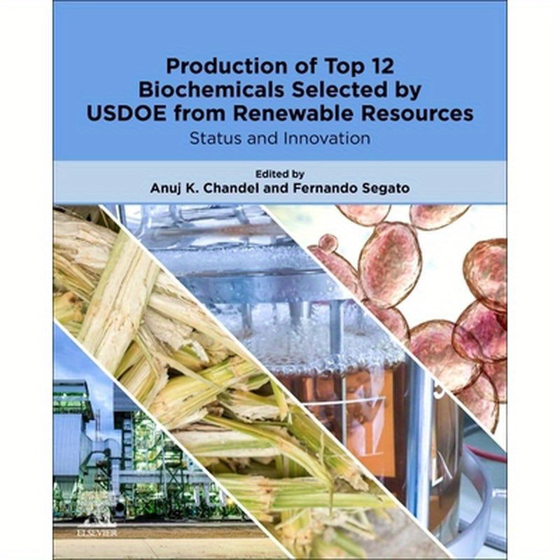 Production of Top 12 Biochemicals Selected by Usdoe from Renewable Resources: Status and Innovation