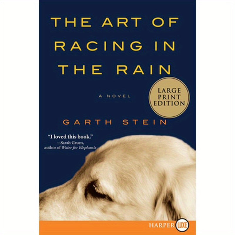 The Art of Racing in the Rain