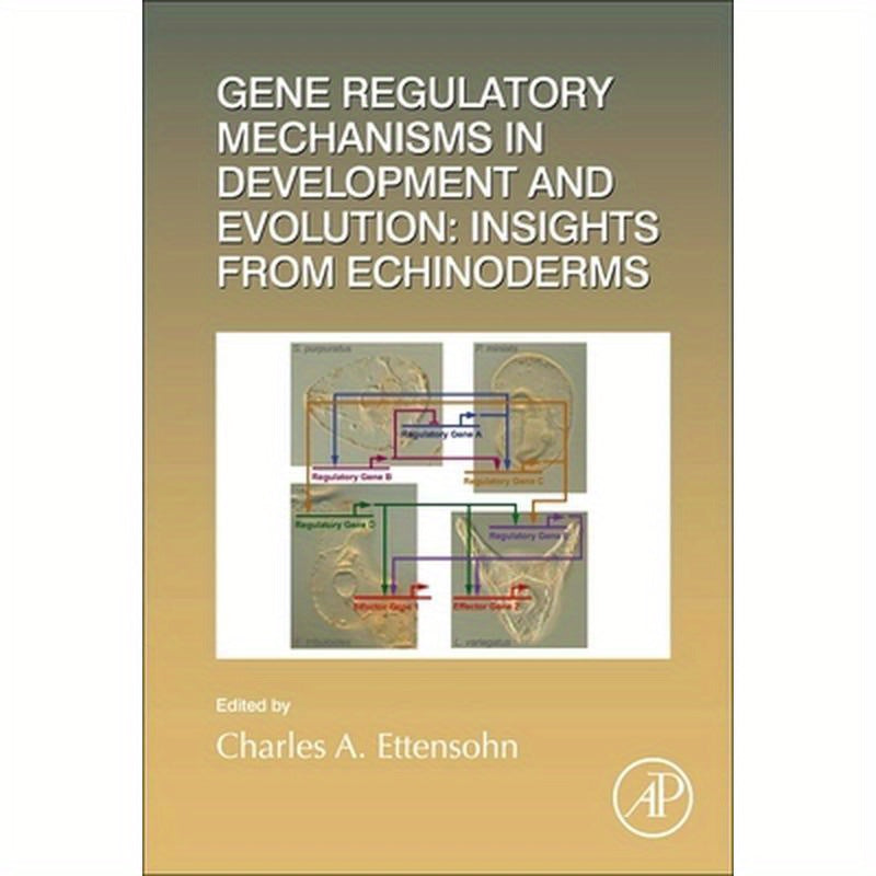 Gene Regulatory Mechanisms in Development and Evolution: Insights from Echinoderms: Volume 146