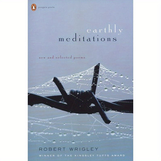 Earthly Meditations: New and Selected Poems