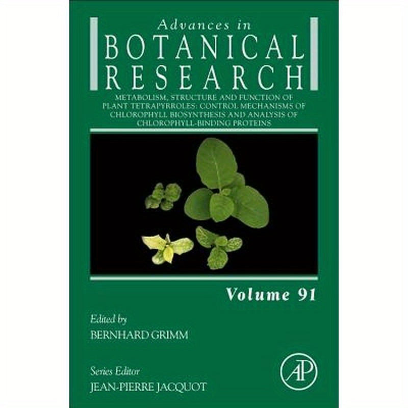 Metabolism, Structure and Function of Plant Tetrapyrroles: Control Mechanisms of Chlorophyll Biosynthesis and Analysis of Chlorophyll-Binding Proteins