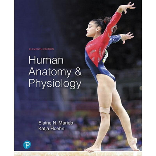 Human Anatomy & Physiology