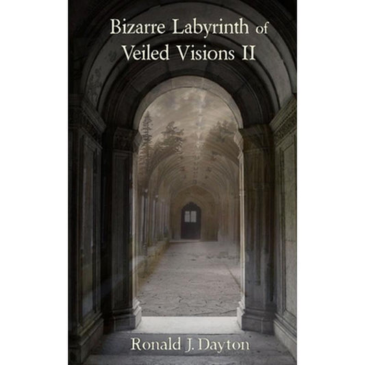 Bizarre Labyrinth of Veiled Visions II