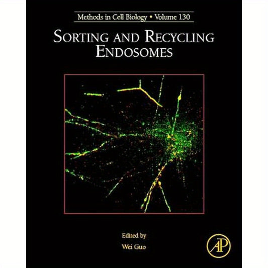 Sorting and Recycling Endosomes: Volume 130