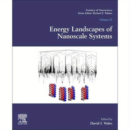 Energy Landscapes of Nanoscale Systems: Volume 21