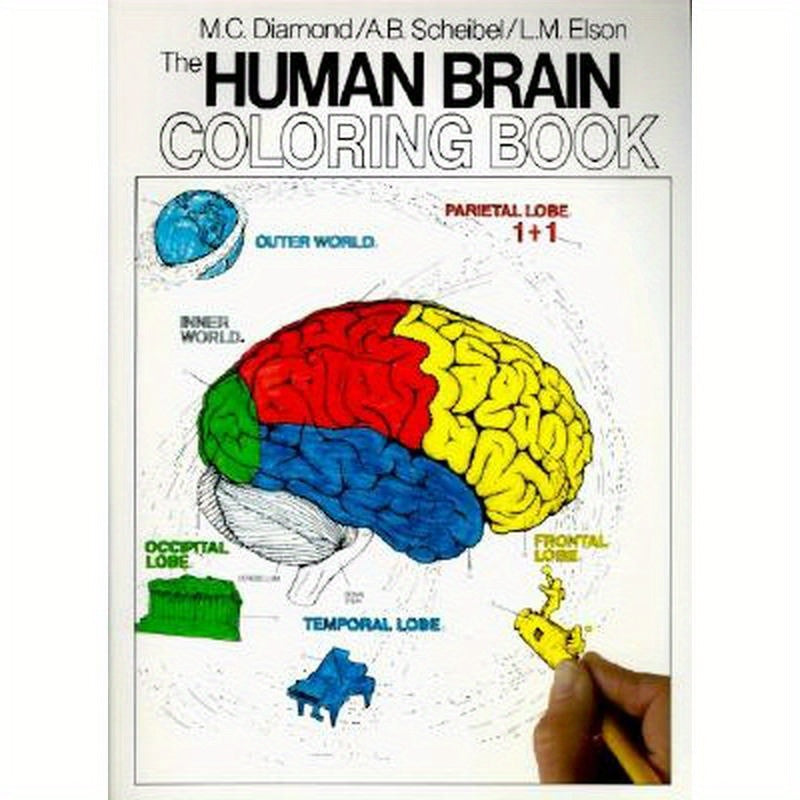 The Human Brain Coloring Book