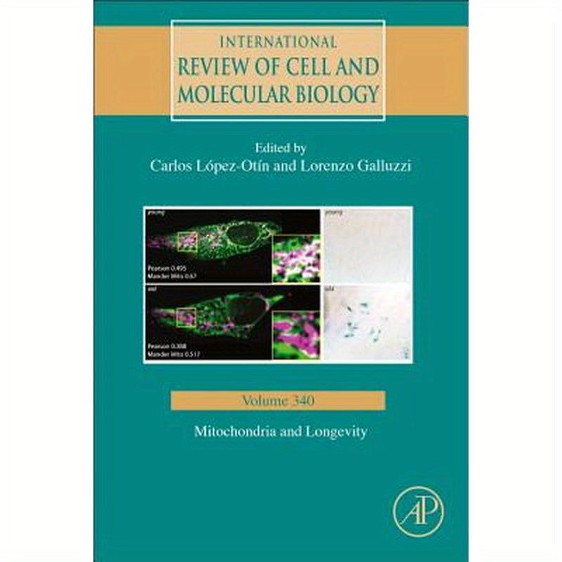 Mitochondria and Longevity: Volume 340
