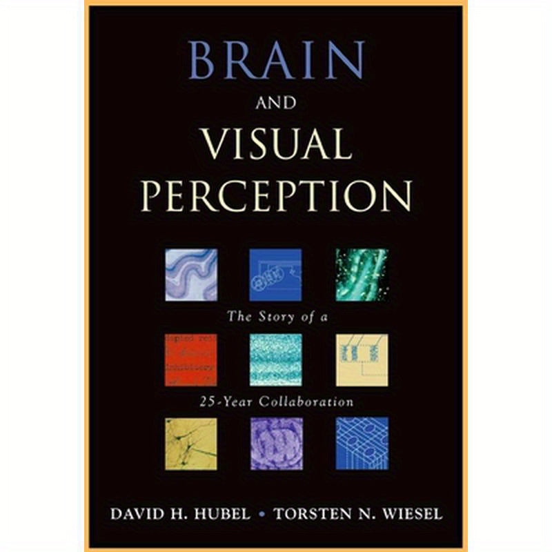 Brain and Visual Perception: The Story of a 25-Year Collaboration