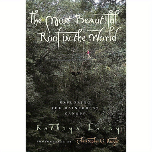 The Most Beautiful Roof in the World: Exploring the Rainforest Canopy