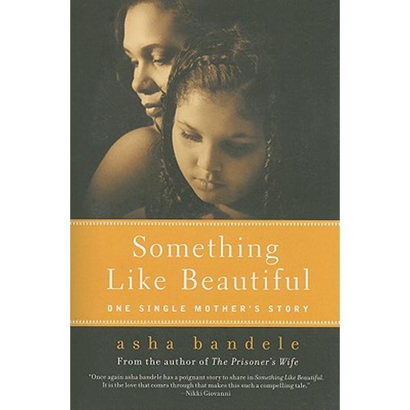Something Like Beautiful: One Single Mother's Story