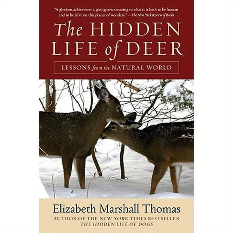 The Hidden Life of Deer: Lessons from the Natural World