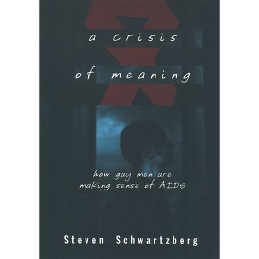 A Crisis of Meaning: How Gay Men Are Making Sense of AIDS