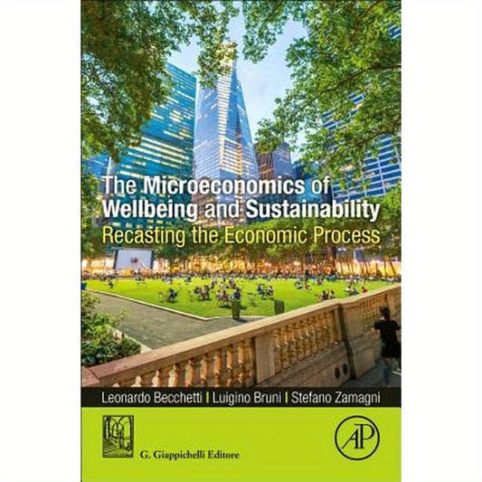 The Microeconomics of Wellbeing and Sustainability: Recasting the Economic Process