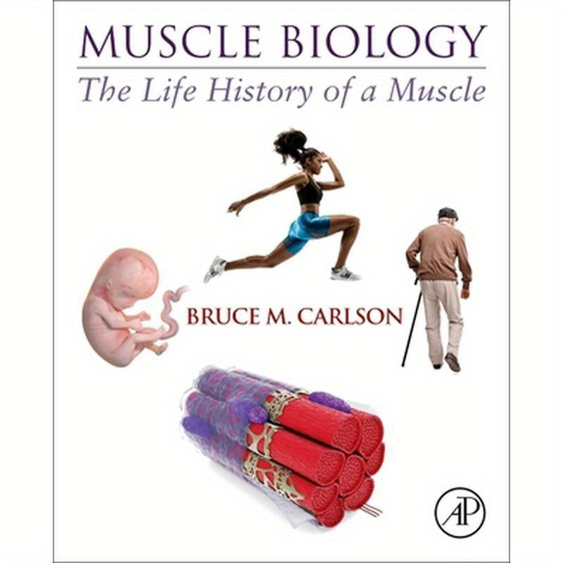 Muscle Biology: The Life History of a Muscle