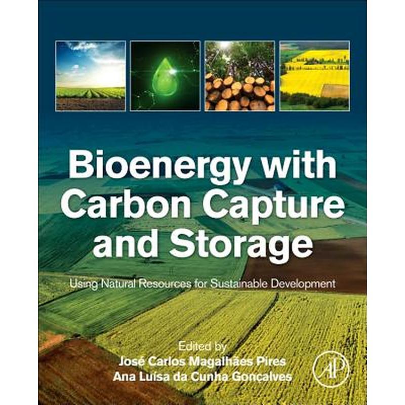Bioenergy with Carbon Capture and Storage: Using Natural Resources for Sustainable Development