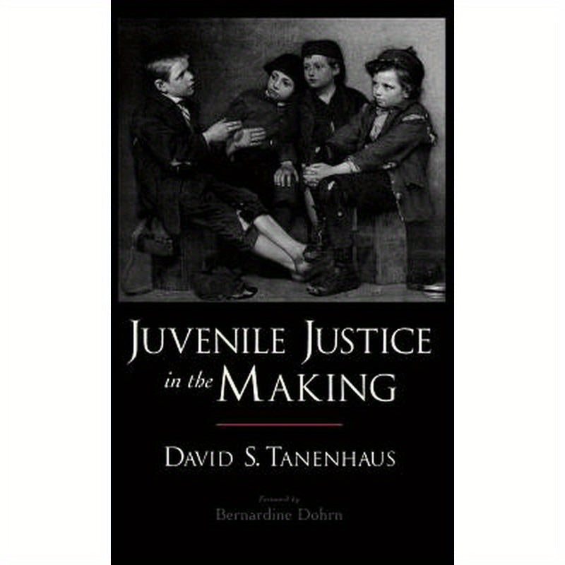 Juvenile Justice in the Making