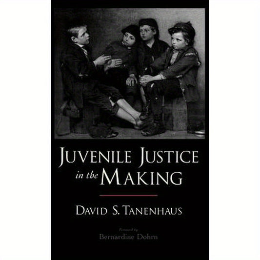 Juvenile Justice in the Making