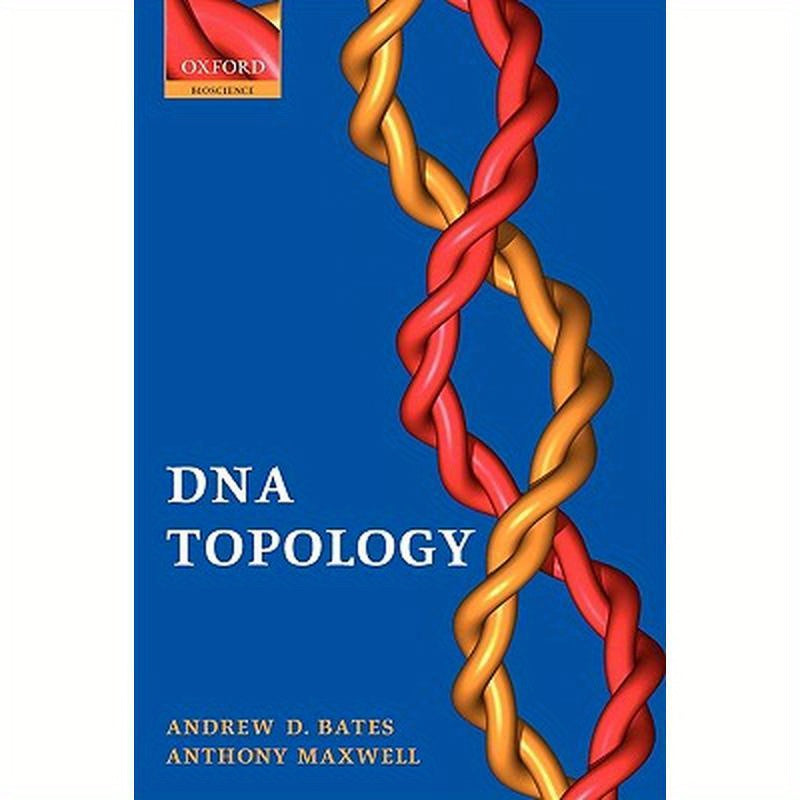 DNA Topology