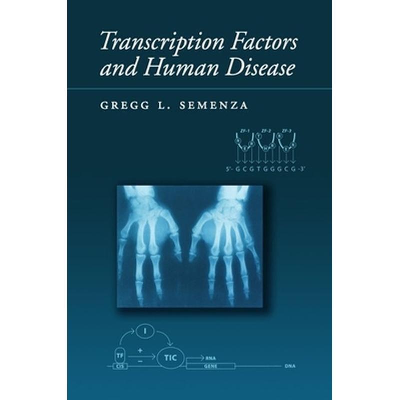 Transcription Factors and Human Genetic Disease