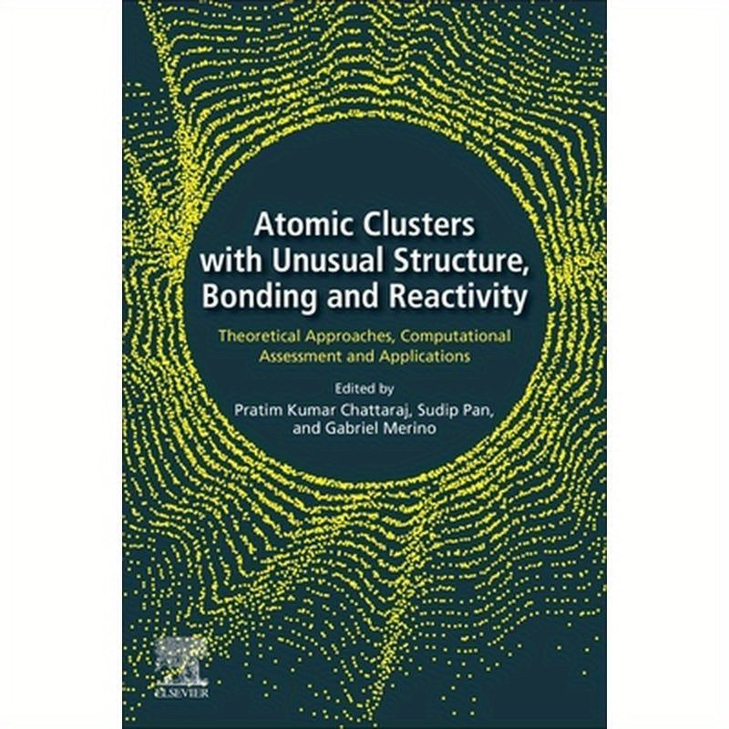 Atomic Clusters with Unusual Structure, Bonding and Reactivity: Theoretical Approaches, Computational Assessment and Applications