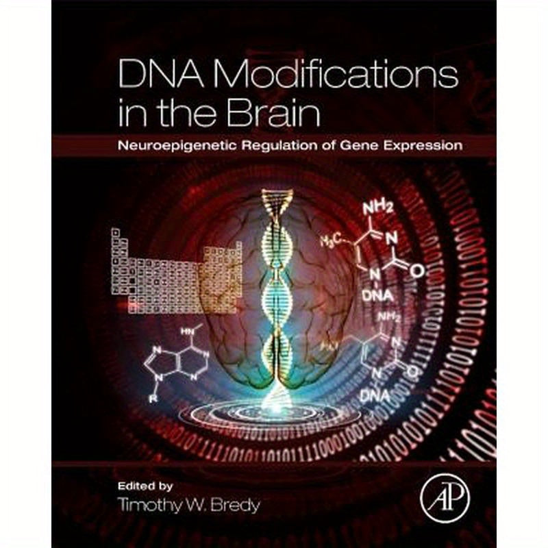 DNA Modifications in the Brain: Neuroepigenetic Regulation of Gene Expression