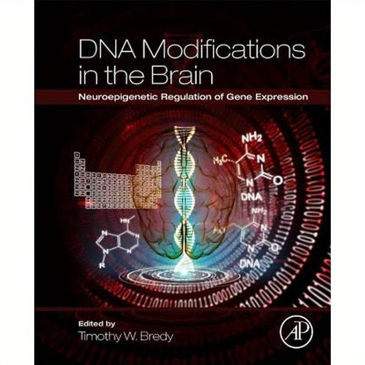 DNA Modifications in the Brain: Neuroepigenetic Regulation of Gene Expression