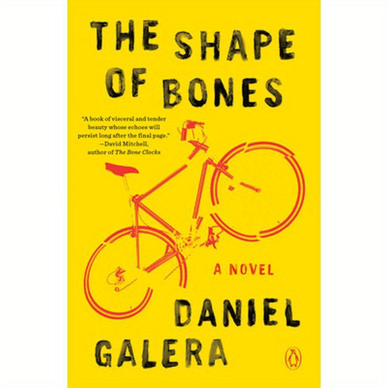 The Shape of Bones