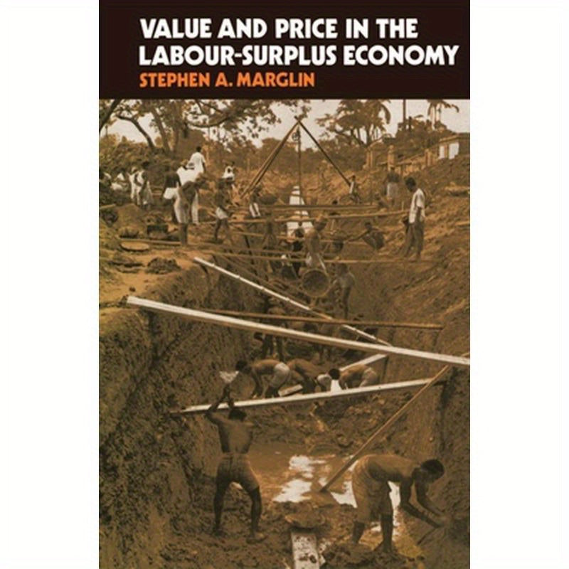 Value & Price in the Labour Surplus Economy
