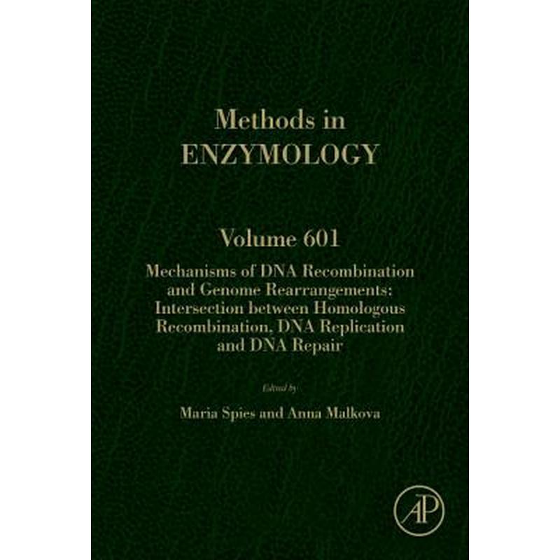 Mechanisms of DNA Recombination and Genome Rearrangements: Intersection Between Homologous Recombination, DNA Replication and DNA Repair: Volume 601
