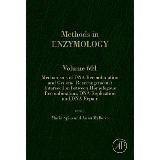 Mechanisms of DNA Recombination and Genome Rearrangements: Intersection Between Homologous Recombination, DNA Replication and DNA Repair: Volume 601