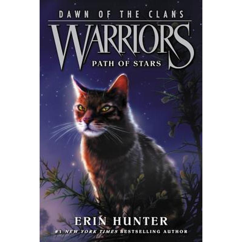 Warriors: Dawn of the Clans #6: Path of Stars