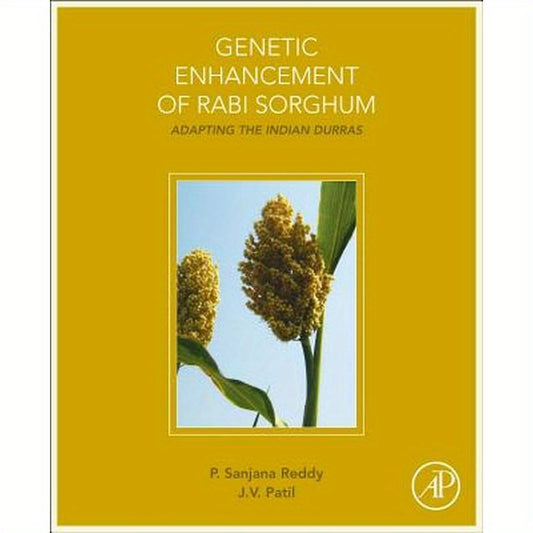 Genetic Enhancement of Rabi Sorghum: Adapting the Indian Durras