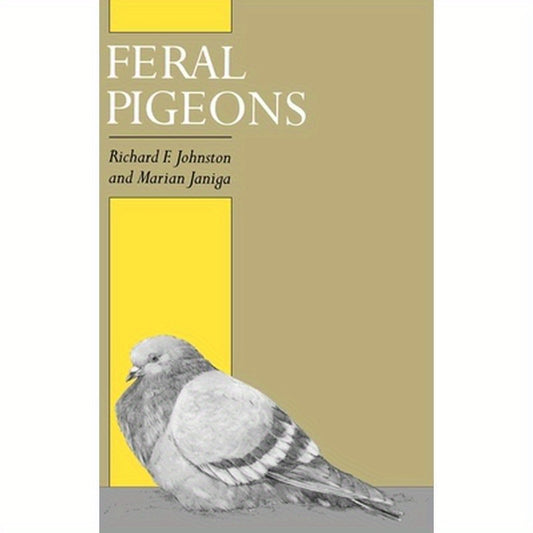 Feral Pigeons
