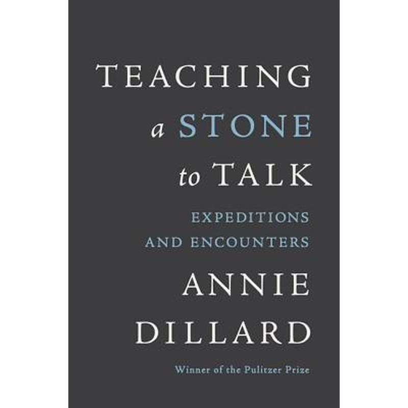 Teaching a Stone to Talk: Expeditions and Encounters