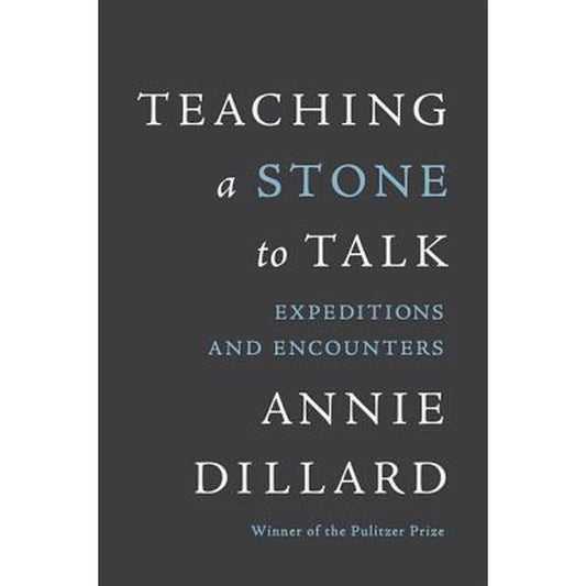 Teaching a Stone to Talk: Expeditions and Encounters